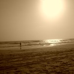 Tarek photograph 1