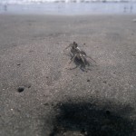 Tarek photograph 3