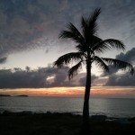 Thierry photograph 1